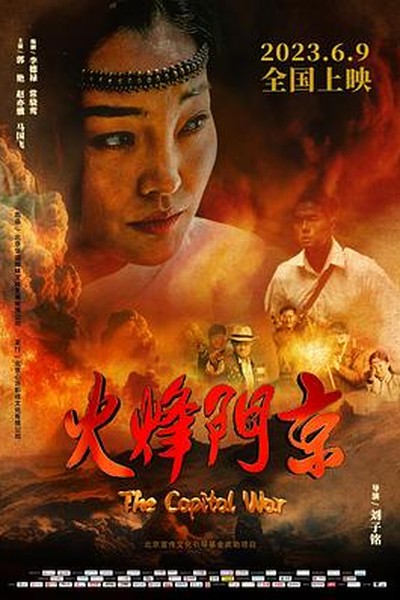 宠物界奥斯卡：年度最搞笑瞬间合集 - 千影影视