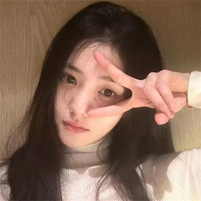猫咪第一次见到小奶狗的反应，太治愈了 - 千影影视